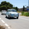 Montevago 2010 (477)